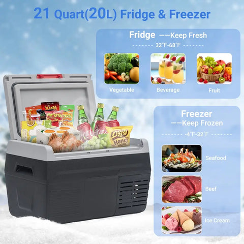 movable fridge freezer with temperature from -20℃ to 20℃